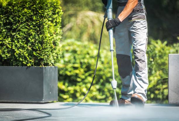 Best Animal Enclosure Cleaning  in Waverly, OH