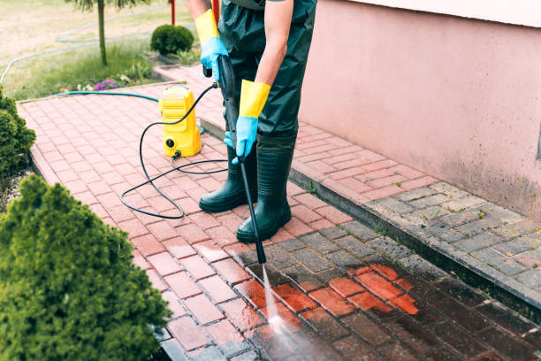Best Soft Washing  in Waverly, OH